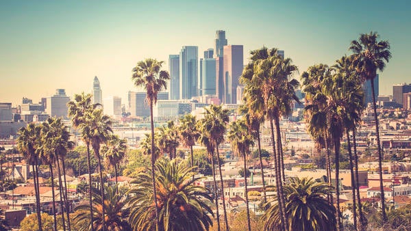 Los Angeles Skyline seen through palm trees